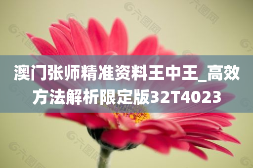 澳门张师精准资料王中王_高效方法解析限定版32T4023