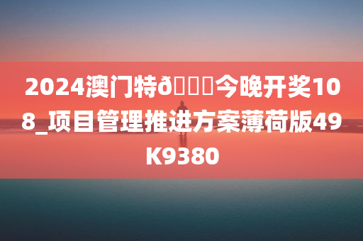 2024澳门特🐎今晚开奖108_项目管理推进方案薄荷版49K9380