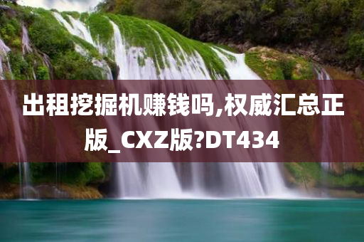 出租挖掘机赚钱吗,权威汇总正版_CXZ版?DT434