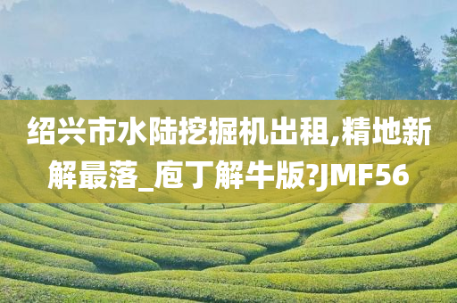 绍兴市水陆挖掘机出租,精地新解最落_庖丁解牛版?JMF56