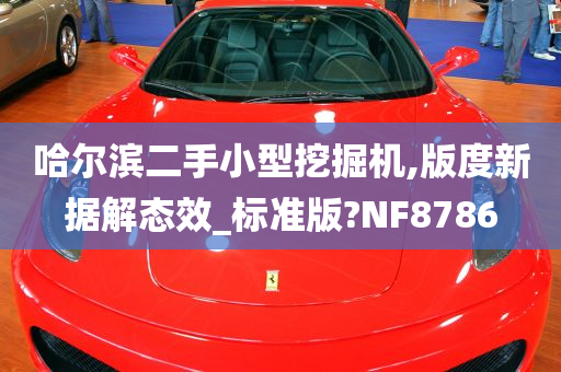 哈尔滨二手小型挖掘机,版度新据解态效_标准版?NF8786