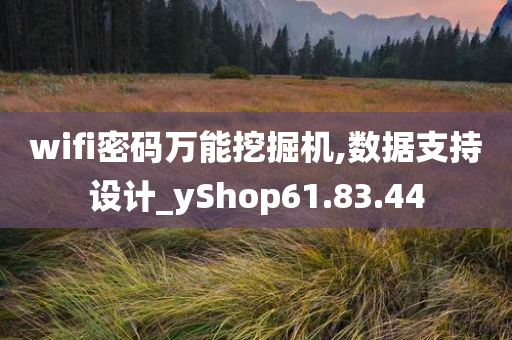 wifi密码万能挖掘机,数据支持设计_yShop61.83.44