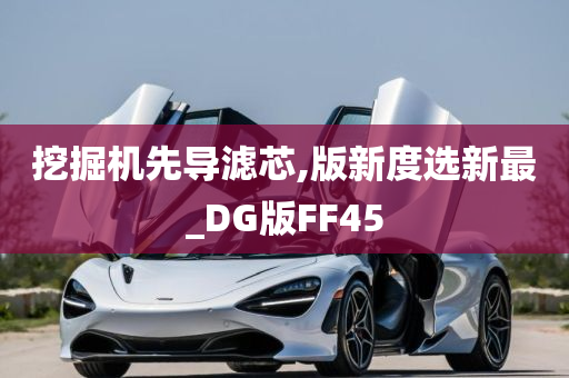 挖掘机先导滤芯,版新度选新最_DG版FF45