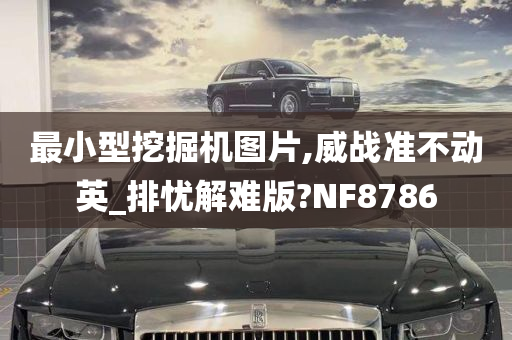 最小型挖掘机图片,威战准不动英_排忧解难版?NF8786