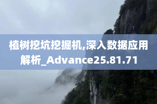 植树挖坑挖掘机,深入数据应用解析_Advance25.81.71