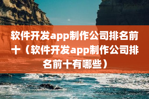 软件开发app制作公司排名前十（软件开发app制作公司排名前十有哪些）