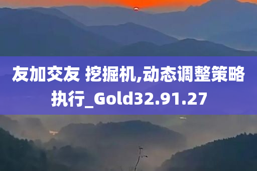 友加交友 挖掘机,动态调整策略执行_Gold32.91.27