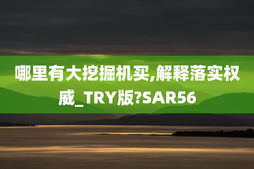 哪里有大挖掘机买,解释落实权威_TRY版?SAR56