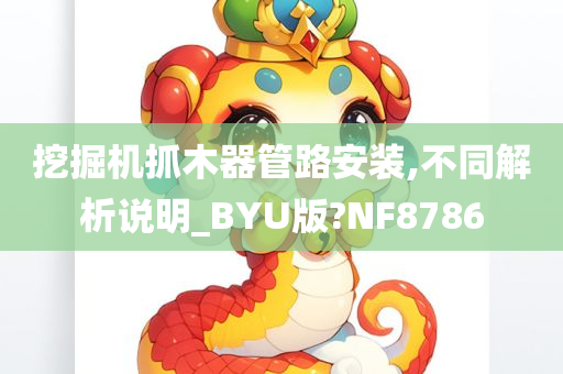 挖掘机抓木器管路安装,不同解析说明_BYU版?NF8786