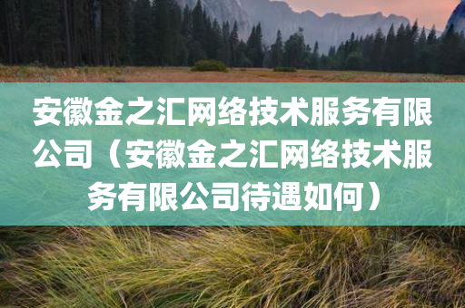 安徽金之汇网络技术服务有限公司（安徽金之汇网络技术服务有限公司待遇如何）