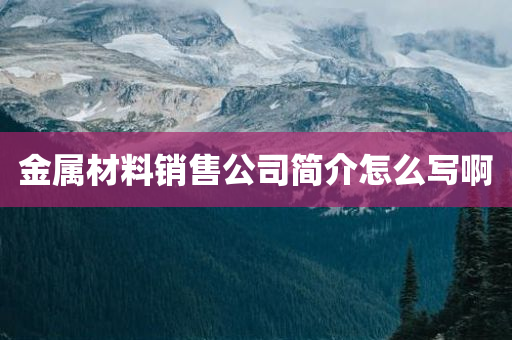 金属材料销售公司简介怎么写啊