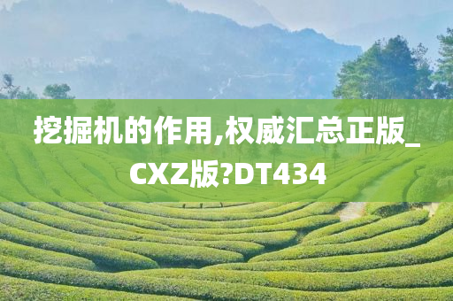 挖掘机的作用,权威汇总正版_CXZ版?DT434