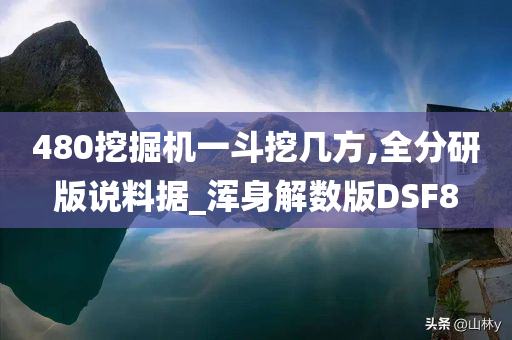 480挖掘机一斗挖几方,全分研版说料据_浑身解数版DSF8