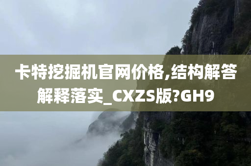 卡特挖掘机官网价格,结构解答解释落实_CXZS版?GH9