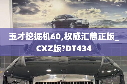 玉才挖掘机60,权威汇总正版_CXZ版?DT434