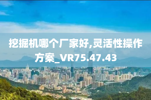 挖掘机哪个厂家好,灵活性操作方案_VR75.47.43