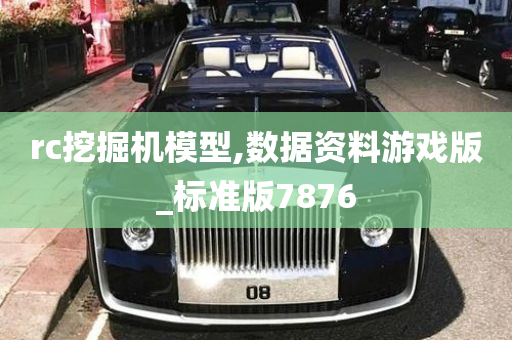 rc挖掘机模型,数据资料游戏版_标准版7876