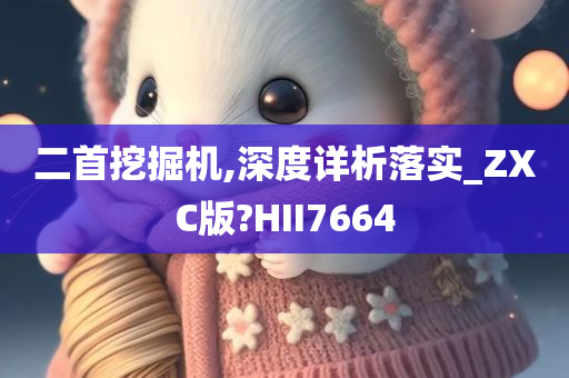 二首挖掘机,深度详析落实_ZXC版?HII7664