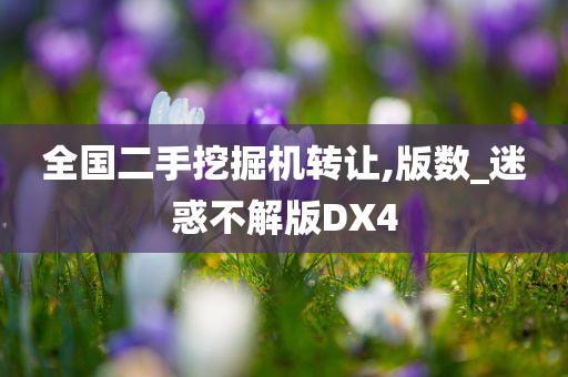 全国二手挖掘机转让,版数_迷惑不解版DX4