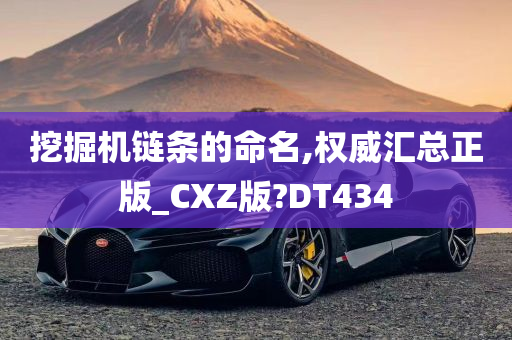 挖掘机链条的命名,权威汇总正版_CXZ版?DT434