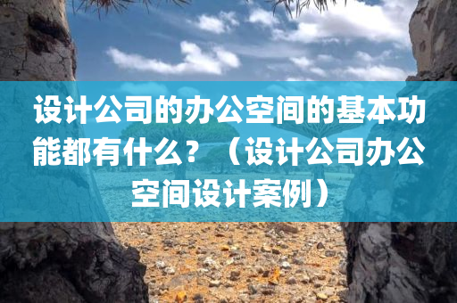 设计公司的办公空间的基本功能都有什么？（设计公司办公空间设计案例）