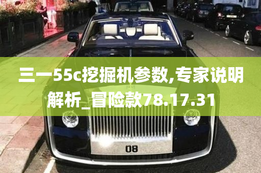 三一55c挖掘机参数,专家说明解析_冒险款78.17.31