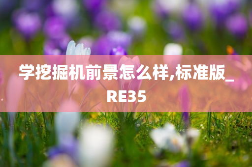 学挖掘机前景怎么样,标准版_RE35