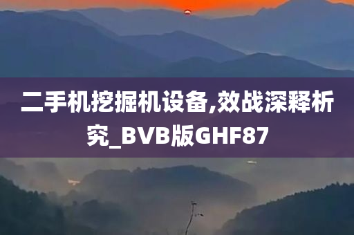 二手机挖掘机设备,效战深释析究_BVB版GHF87