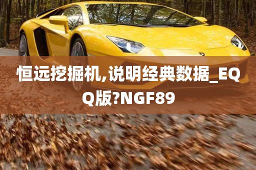 恒远挖掘机,说明经典数据_EQQ版?NGF89