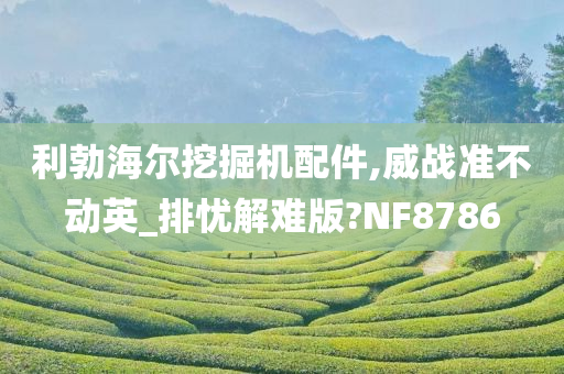 利勃海尔挖掘机配件,威战准不动英_排忧解难版?NF8786