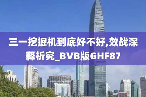 三一挖掘机到底好不好,效战深释析究_BVB版GHF87