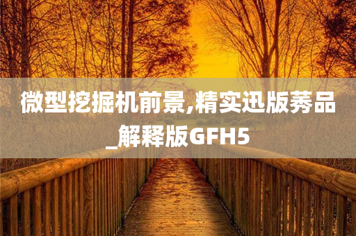 微型挖掘机前景,精实迅版莠品_解释版GFH5