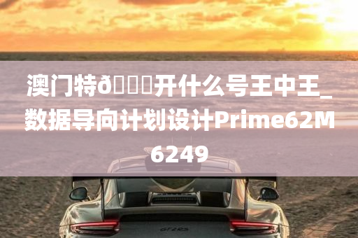 澳门特🐎开什么号王中王_数据导向计划设计Prime62M6249