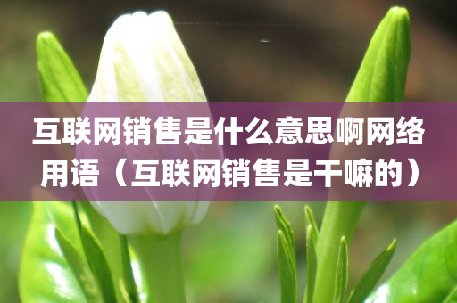 互联网销售是什么意思啊网络用语（互联网销售是干嘛的）