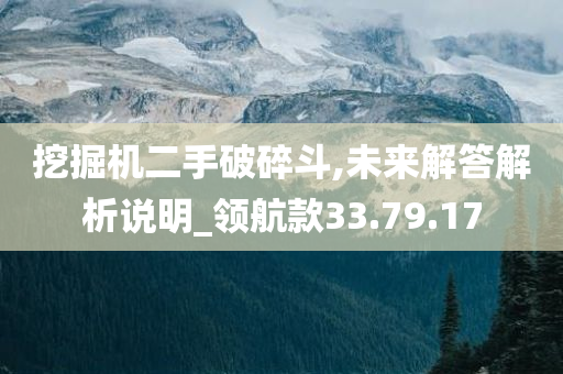 挖掘机二手破碎斗,未来解答解析说明_领航款33.79.17