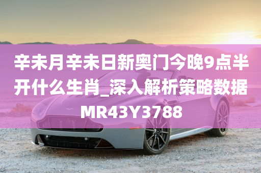 辛未月辛未日新奥门今晚9点半开什么生肖_深入解析策略数据MR43Y3788