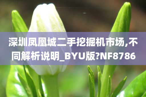 深圳凤凰城二手挖掘机市场,不同解析说明_BYU版?NF8786