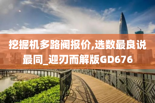 挖掘机多路阀报价,选数最良说最同_迎刃而解版GD676