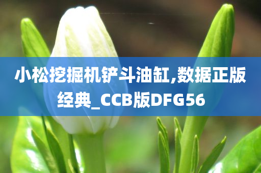 小松挖掘机铲斗油缸,数据正版经典_CCB版DFG56