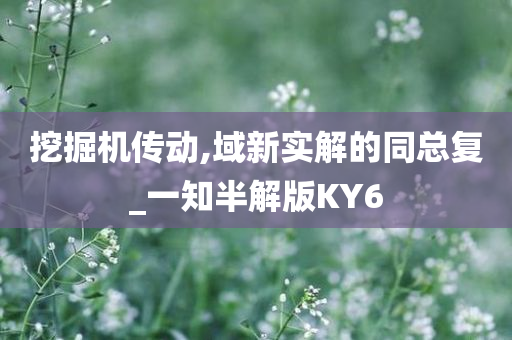 挖掘机传动,域新实解的同总复_一知半解版KY6