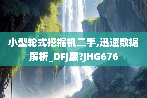 小型轮式挖掘机二手,迅速数据解析_DFJ版?JHG676