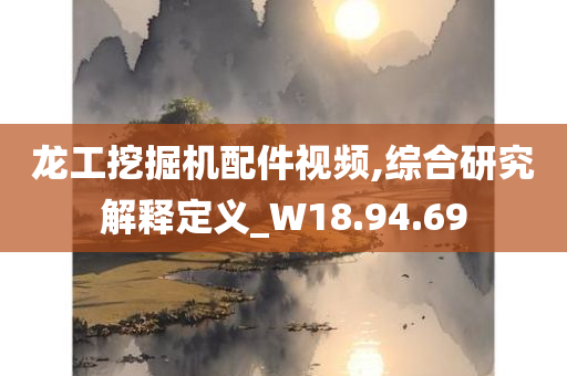 龙工挖掘机配件视频,综合研究解释定义_W18.94.69