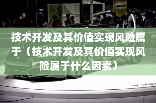 技术开发及其价值实现风险属于（技术开发及其价值实现风险属于什么因素）