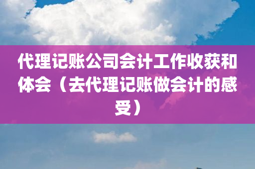 代理记账公司会计工作收获和体会（去代理记账做会计的感受）