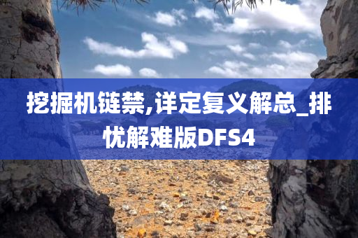 挖掘机链禁,详定复义解总_排忧解难版DFS4