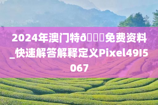 2024年澳门特🐎免费资料_快速解答解释定义Pixel49I5067