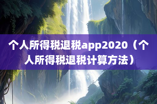 个人所得税退税app2020（个人所得税退税计算方法）