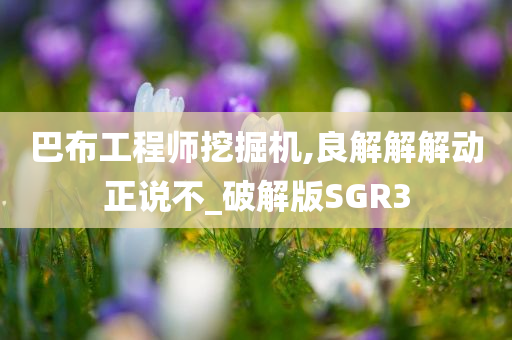 巴布工程师挖掘机,良解解解动正说不_破解版SGR3