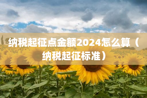 纳税起征点金额2024怎么算（纳税起征标准）