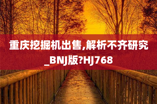 重庆挖掘机出售,解析不齐研究_BNJ版?HJ768